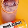 Blood Orange Hemp Seltzer: A Symphony of Sweetness and Tanginess